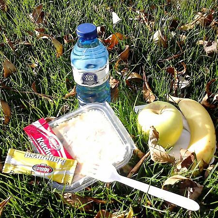 Alberg Roques Blanques Ribes de Freser Kültér fotó